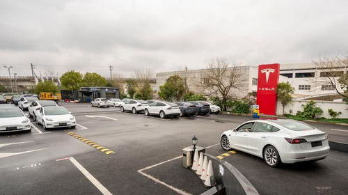 特斯拉2月國(guó)內(nèi)新能源車銷量3958輛奪魁，集中式快速充電站成行業(yè)新焦點(diǎn)